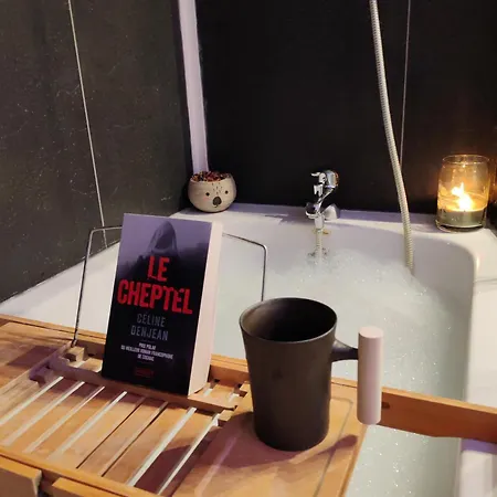 D'hote Chez L'habitant, Proche Gare Avec Wifi Gratuit